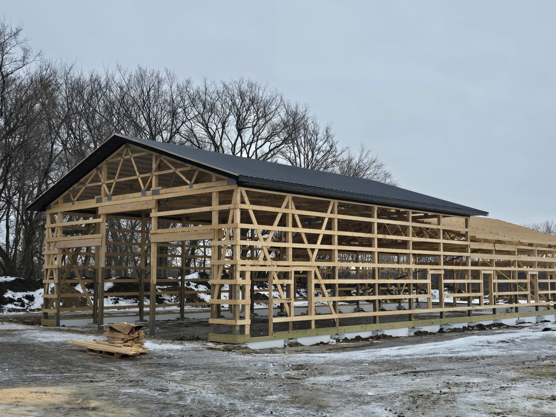 Partial roof framing exposed on a winter pole barn build