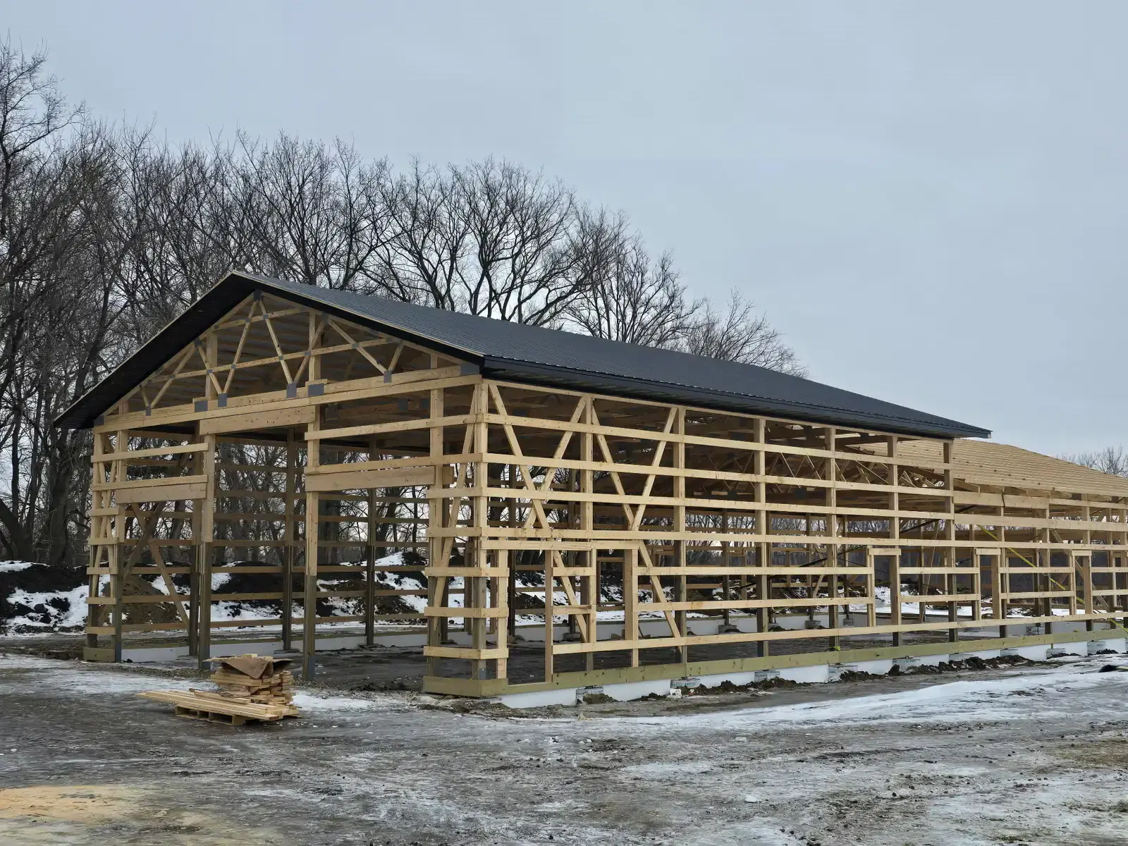 Partial roof framing exposed on a winter pole barn build
