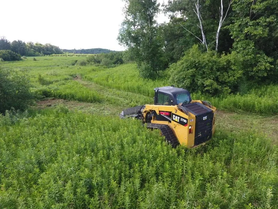 Brush Mowing
